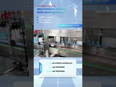 máy đóng gói hộp naaisi